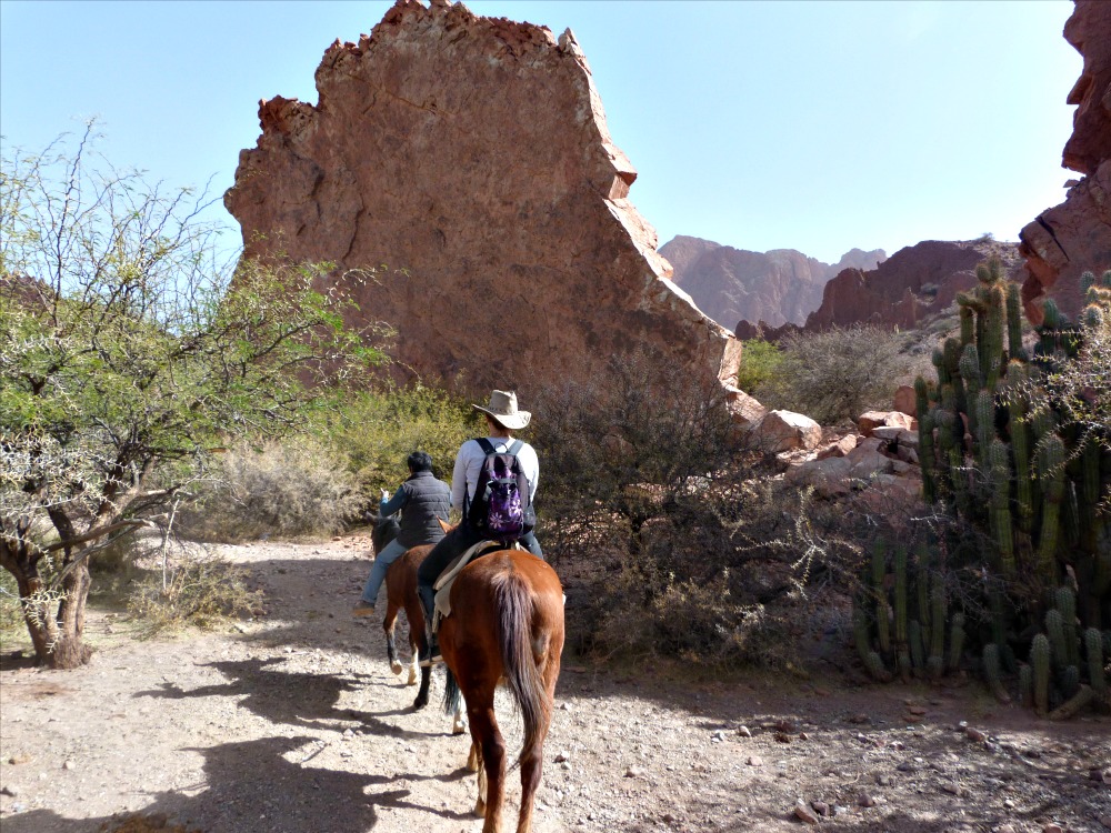bolivia-tupisa-caballos