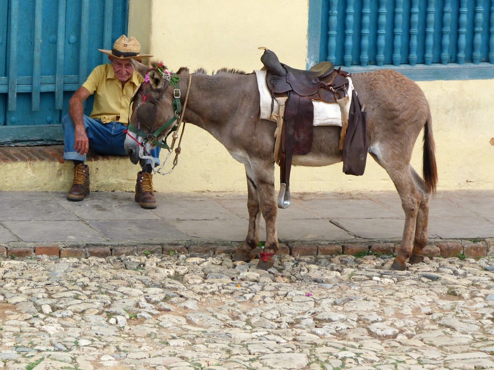 trinidad-calles-burro